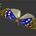 Vibrant Game Movie Character With Blue Yellow Wings And White Spots In 3D Render Design