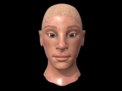 Game Film Character 3D Head Model With Bald Head And Realistic Facial Features 3d model