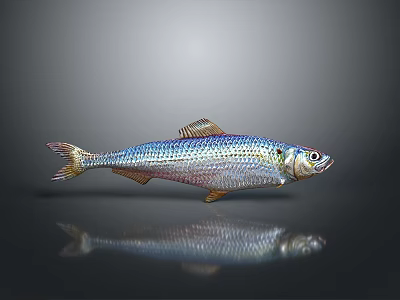 Silver Colored Fish Shaped Decorative Household Item With Glossy Surface And Reflection 3d model