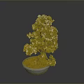 Bonsai Plant With White Flowers Green Leaves Exposed Roots In Light Gray Pot