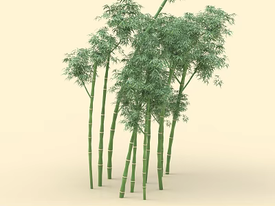 Green Bamboo Plants With Tall Stems Lush Leaves And Fresh Natural Growth 3d model
