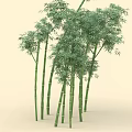 Green Bamboo Plants With Tall Stems Lush Leaves And Fresh Natural Growth