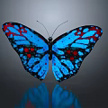 Blue And Red Spotted Butterfly With Spread Wings On Gray Background And Reflection