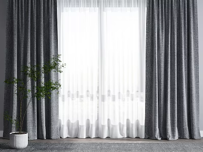 Gray Curtains With White Sheer Panels And Green Plant By Window With Rug 3d model