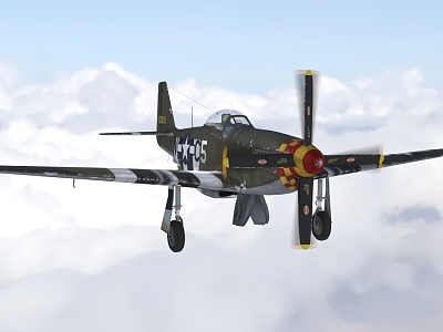 American World War II aircraft P51D5 Mustang fighter model