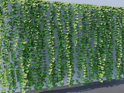 Lush Green Vines Covering Wall With Dense Foliage And Decorative Hanging Tendrils 3d model