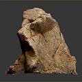 Natural Red Brown Wood Stone With Textured Surface And Irregular Shape