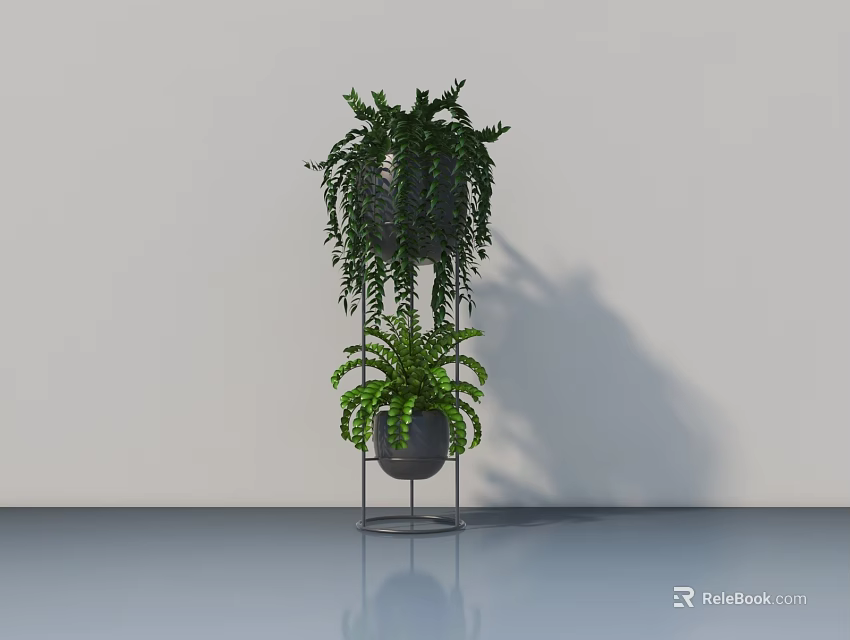 Hanging Potted Fern Plants On Black Metal Stand With White Background And Smooth Gray Floor 3d model 