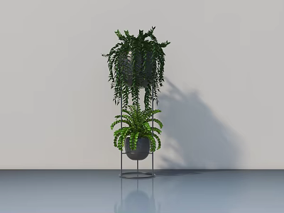 Hanging Potted Fern Plants On Black Metal Stand With White Background And Smooth Gray Floor 3d model