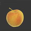Fresh Ripe Red and Yellow Apple with Stem on Reflective Dark Surface