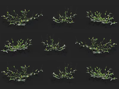 Multiple Green Plants Displayed From Different Angles Against Black Background 3d model