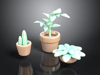 Indoor Decorative Potted Plants With Green Leaf Succulent Cactus In Terracotta Pots 3d model