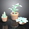 Indoor Decorative Potted Plants With Green Leaf Succulent Cactus In Terracotta Pots