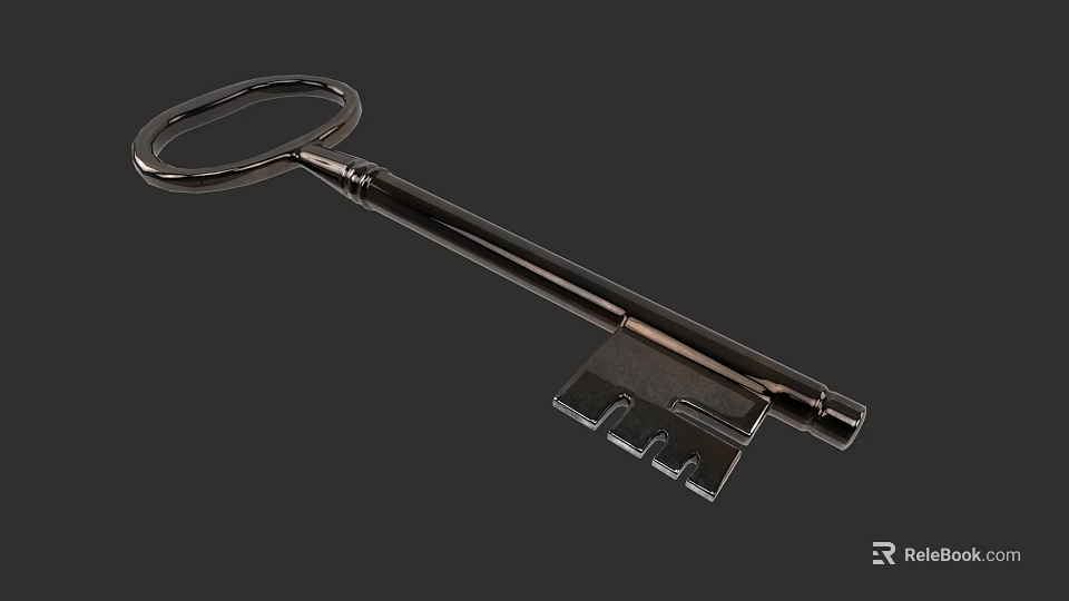 Sturdy Metal Hardware Tool Key With Classic Design And Smooth Surface 3d model 
