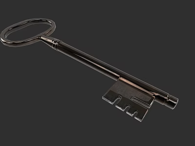 Sturdy Metal Hardware Tool Key With Classic Design And Smooth Surface 3d model