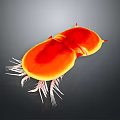 Vibrant Orange Yellow Small Animal With Red Spikes And White Cilia Legs On Gray Background