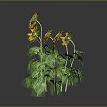 Bright Yellow Sunflowers With Green Stems And Leaves On Gray Background