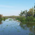 Scenic Park Landscape With Calm Water Floating Plants White Bird Colorful Trees And Open Sky