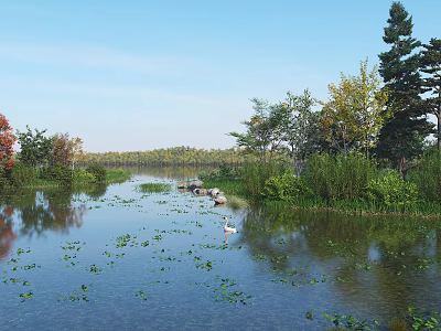 Scenic Park Landscape With Calm Water Floating Plants White Bird Colorful Trees And Open Sky 3d model