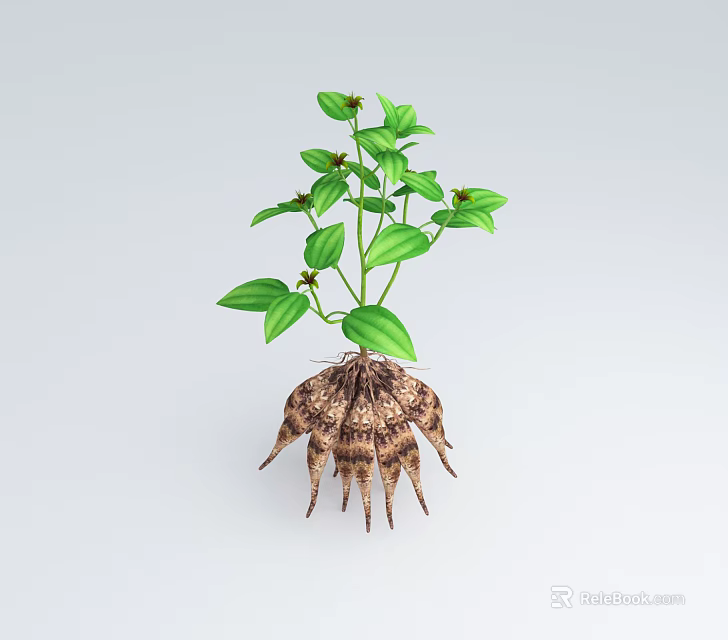 Green Leafy Plant With Thorny Brown Roots On Light Background As 3d model 