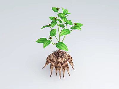 Green Leafy Plant With Thorny Brown Roots On Light Background As 3d model
