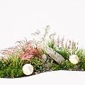 Modern Plants Flowers Pennisetum Reed Courtyard Flowers and Plants Landscape Stone 3d model