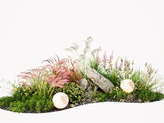 Modern Plants Flowers Pennisetum Reed Courtyard Flowers and Plants Landscape Stone 3d model