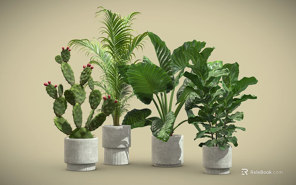 Various Potted Plants Including Cactus Palm and Large Leaf in Gray Pots on Beige Background 3d model 