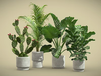 Various Potted Plants Including Cactus Palm and Large Leaf in Gray Pots on Beige Background 3d model