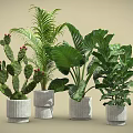 Various Potted Plants Including Cactus Palm and Large Leaf in Gray Pots on Beige Background