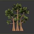 Three Trees With Orange Textured Trunks And Lush Green Leaves On Gray Background