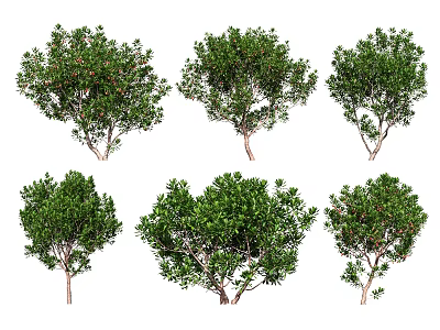 Various Arbor Trees With Green Leaves Red Fruits And Different Natural Shapes 3d model