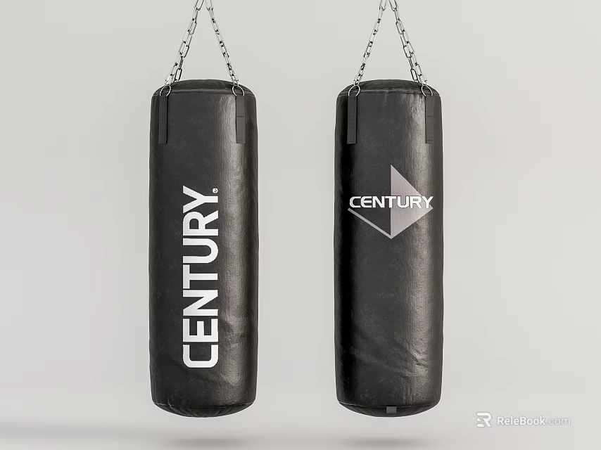 Durable Black Hanging CENTURY Punching Bags For Boxing Fitness Training Equipment 3d model 