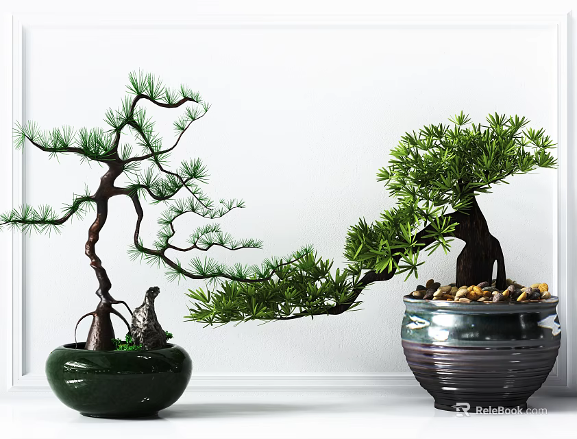 Curved Trunk Bonsai Plants In Green And Striped Ceramic Pots With Pebbles 3d model 