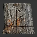 Natural Wooden Tree Stump Decorative Piece Featuring Bark Texture And Visible Growth Rings For Home Decor