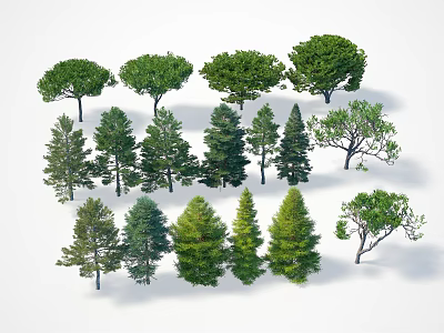 Various Types of Arbor Trees with Different Foliage and Crown Shapes 3d model