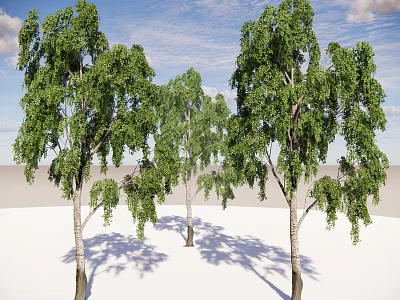 Modern Landscape Trees Big Trees Landscape Trees Greening Trees Courtyard Trees Tall Trees Decuduous Trees Plants Trees Courtyard Trees Green Trees 3d model