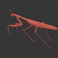 Brown Praying Mantis With Long Legs On Dark Background Close Up View 3d model