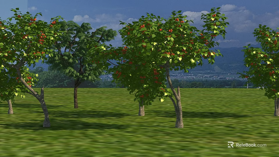 Arbor Trees with Green Leaves and Red Fruits Growing on Lush Grassland Under Blue Sky 3d model 