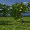 Arbor Trees with Green Leaves and Red Fruits Growing on Lush Grassland Under Blue Sky