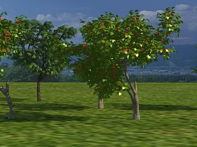 Arbor Trees with Green Leaves and Red Fruits Growing on Lush Grassland Under Blue Sky 3d model