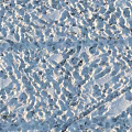 Fresh Footprints On Snowy Ground With Natural Textured Surface And Sunlight