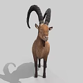 Realistic Brown Goat With Large Curved Horns Standing On Gray Background