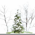 Snow Covered Trees With Frosted Branches In Winter Natural Landscape