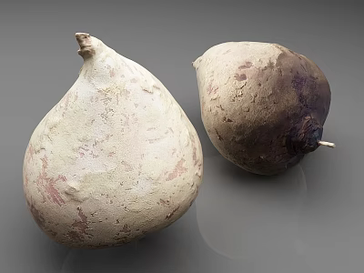 Two Fresh Root Vegetables With Natural Texture Purple Spots And Irregular Shape 3d model