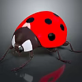 Red Ladybug With Black Spots And White Eye Area On Gray Reflective Surface 3d model