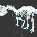 Reptile Dinosaur Skeleton Fossil Display With Prehistoric Bone Structure And Scientific Features