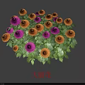 Vibrant Purple and Orange Dahlia Flowers With Lush Green Leaves Blooming
