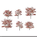 Multiple Red Leaf Trees With Various Shapes Against Black Background 3d model