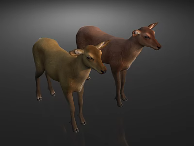 Two Different Colored Reptiles Standing On Gray Background With Realistic Features 3d model